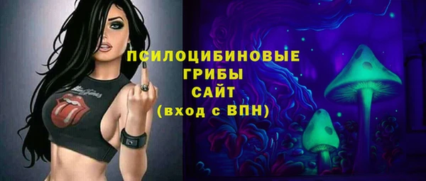 соль ск Богданович
