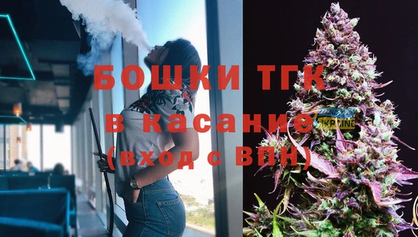стаф Богородск