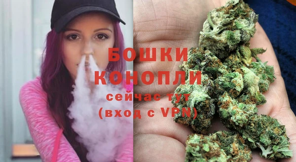 соль ск Богданович