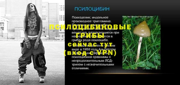 стаф Богородск