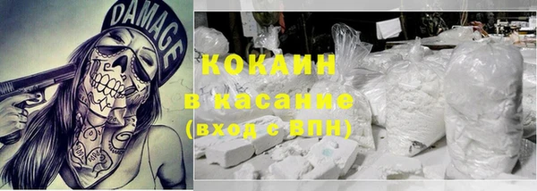 стаф Богородск