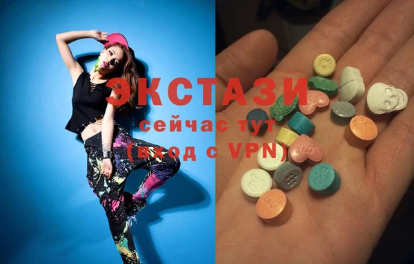 стаф Богородск