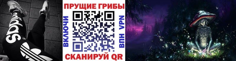 Псилоцибиновые грибы мицелий  Славянск-на-Кубани 